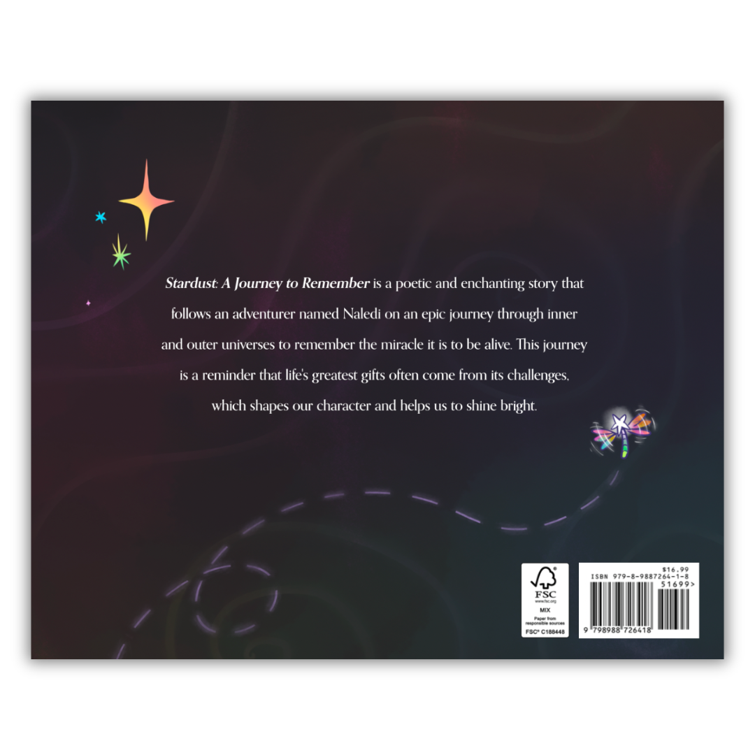 Stardust: A Journey to Remember (Hardcover)